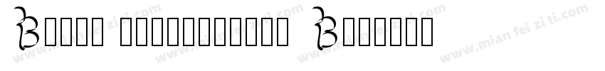 Bosch SansTurkish B字体转换